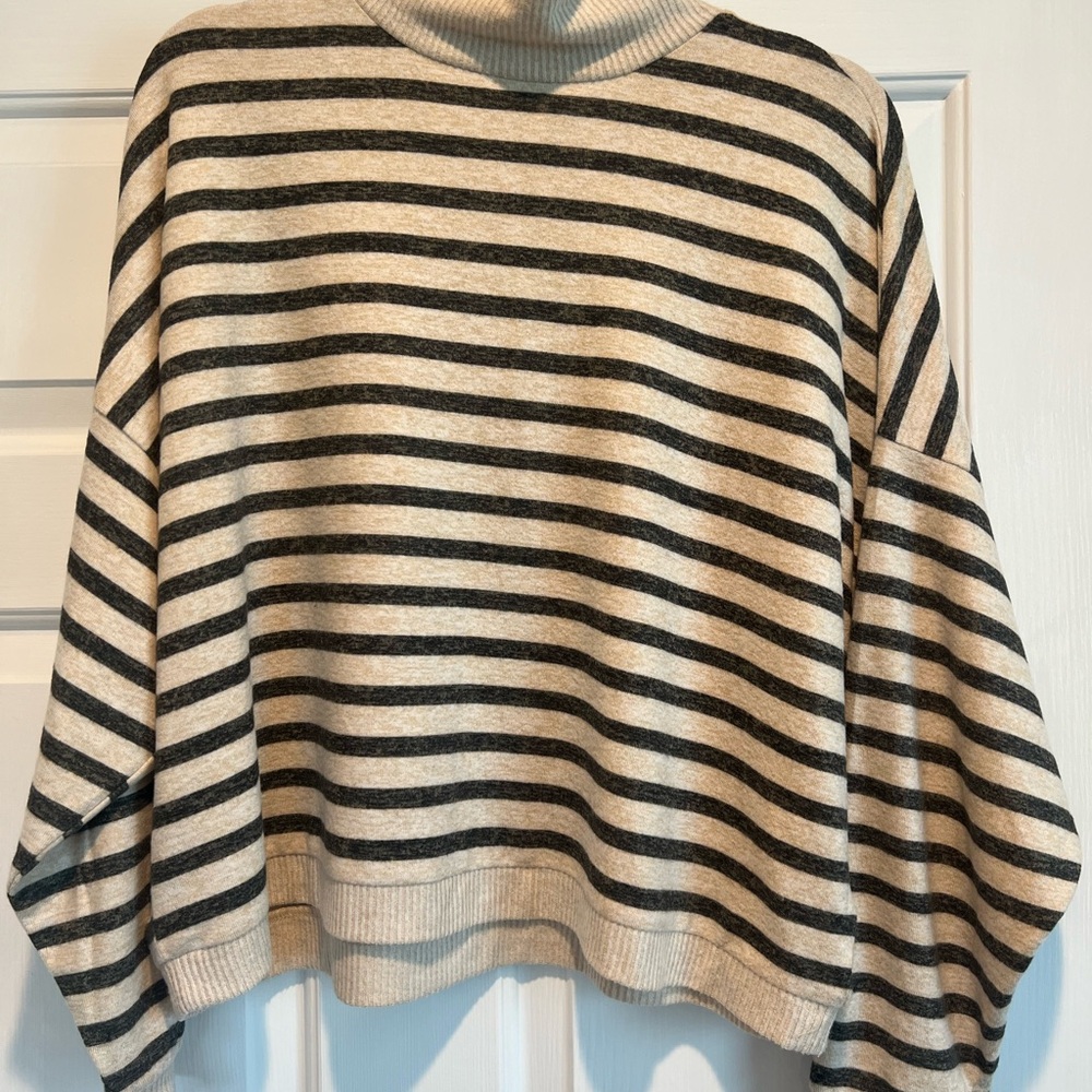 Striped Turtleneck Boxy Sweater